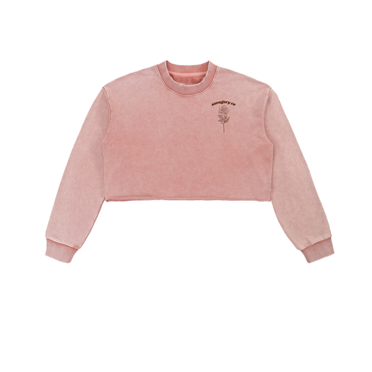 Snow Washed Raw Edge Cropped Sweatshirt