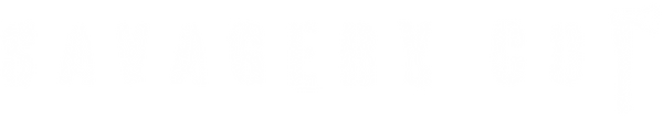 Product image with a clear background